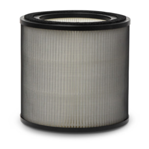 AEG Filtro de protección contra olores y gases Filtro para Multi 7000 AFFBTH2