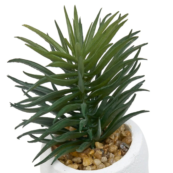 Plante artificielle Teri 9 cm avec Pot visage