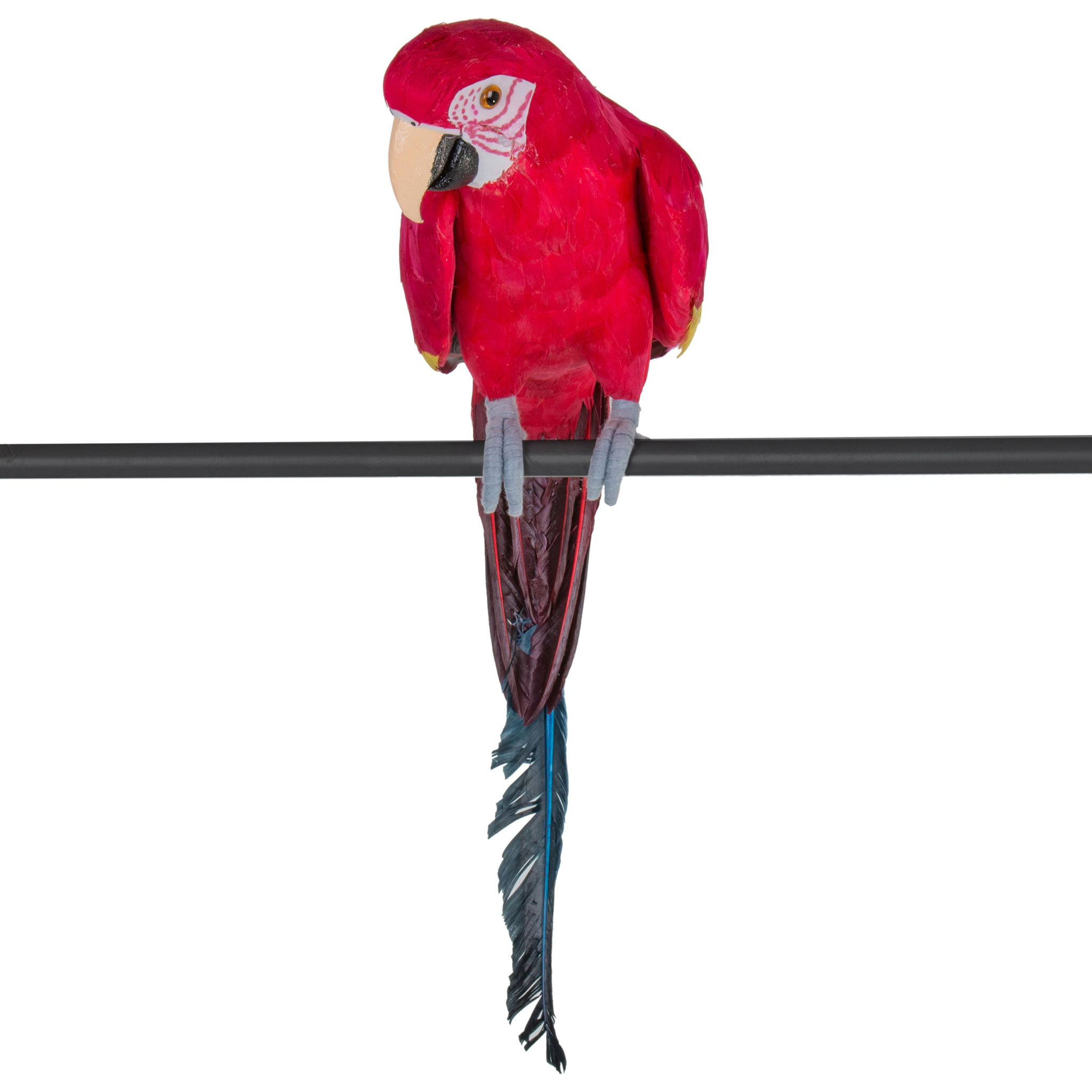 Pappagallo. Altezza 70 Cm - Pezzi 1 - 15X70X16cm - Colore: Rosso - Bianchi Dino - Articoli Primaverili E Pasquali