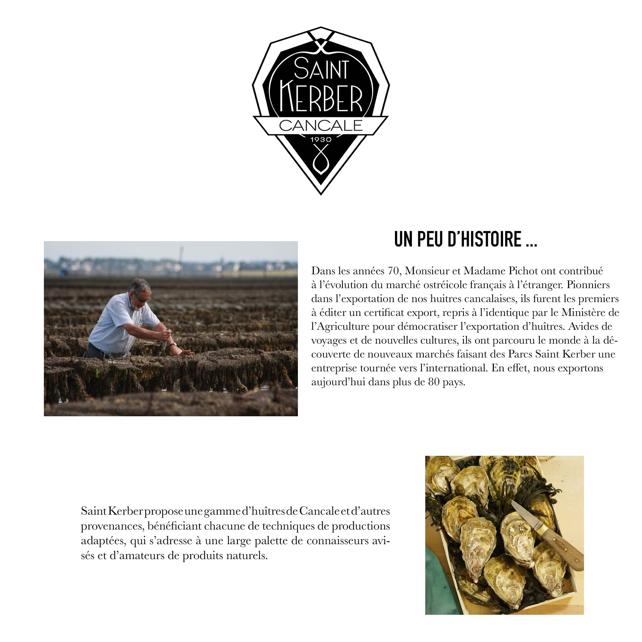 Noix de Saint-Jacques - 300g - France