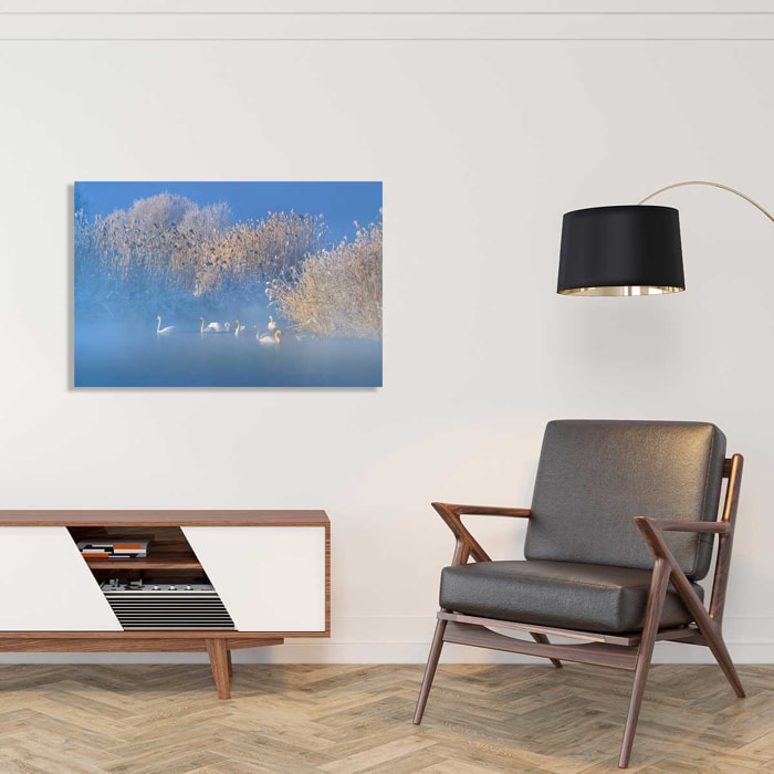 Tableau cygnes dans le givre matinal Tableau alu Dibond
