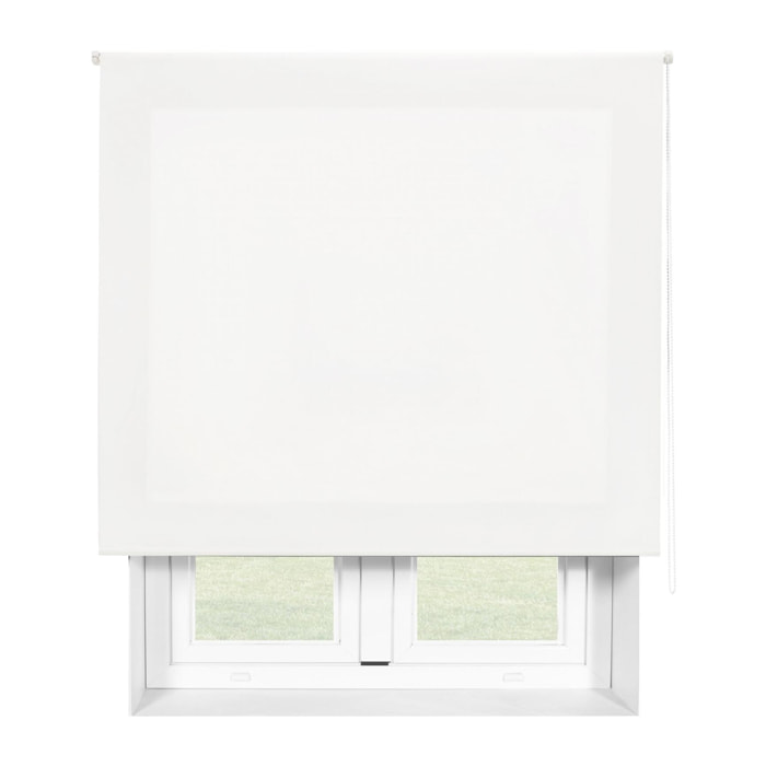 Store enrouleur Polyester Translucide 120x250