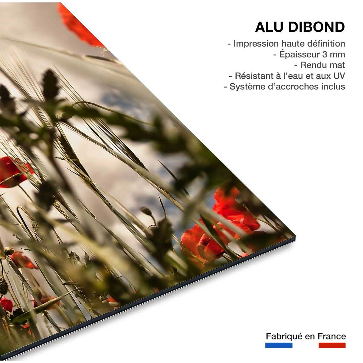 Tableau coquelicots décoration murale moderne Tableau alu Dibond