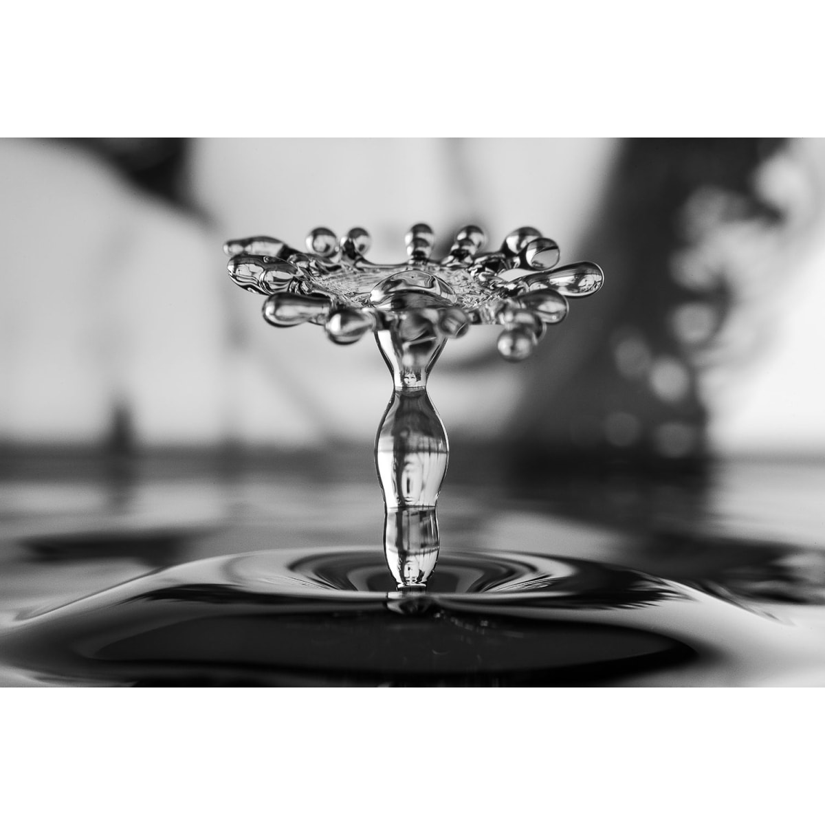 Tableau abstrait liquid drop art tuvia Tableau alu Dibond