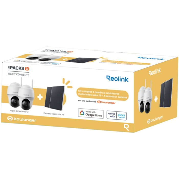 Caméra de surveillance REOLINK B420 + panneau solaire x2