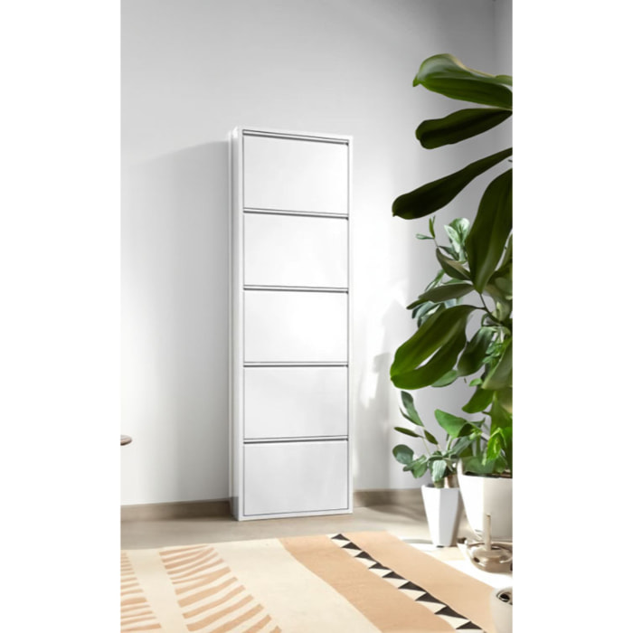Scarpiera Afrend, Mobile portascarpe in metallo, Armadio da ingresso multiuso, Mobiletto per calzature, 50x15h172 cm, Bianco