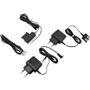 Téléphone sans fil GIGASET E290A Duo Blanc