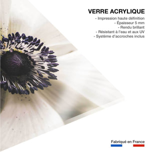 Tableau plantes fleur blanche au coeur violet  Tableau plexiglas