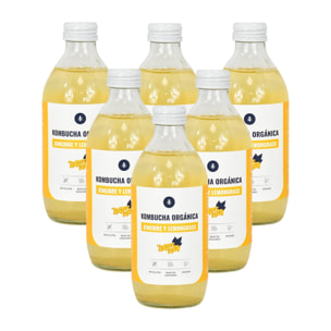 PLANETA HUERTO | Pack 6x Kombucha ECO Jengibre y Lemongrass - 330 ml