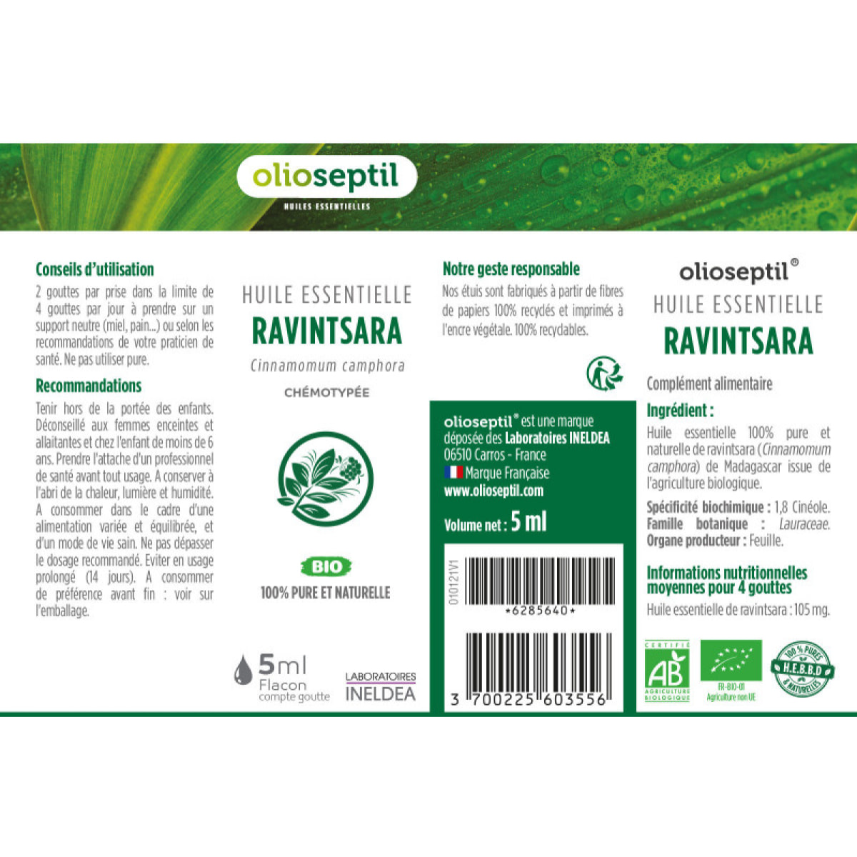 OLIOSEPTIL - Huile essentielle de Ravintsara - 100% Pure et naturelle - BIO - HEBBD (biochimiquement et botaniquement définie) - 100% origine naturelle - Lot de 3 flacons 5 ml