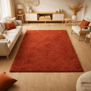 Tapis poils longs shaggy tissé motif uni ZASIVE