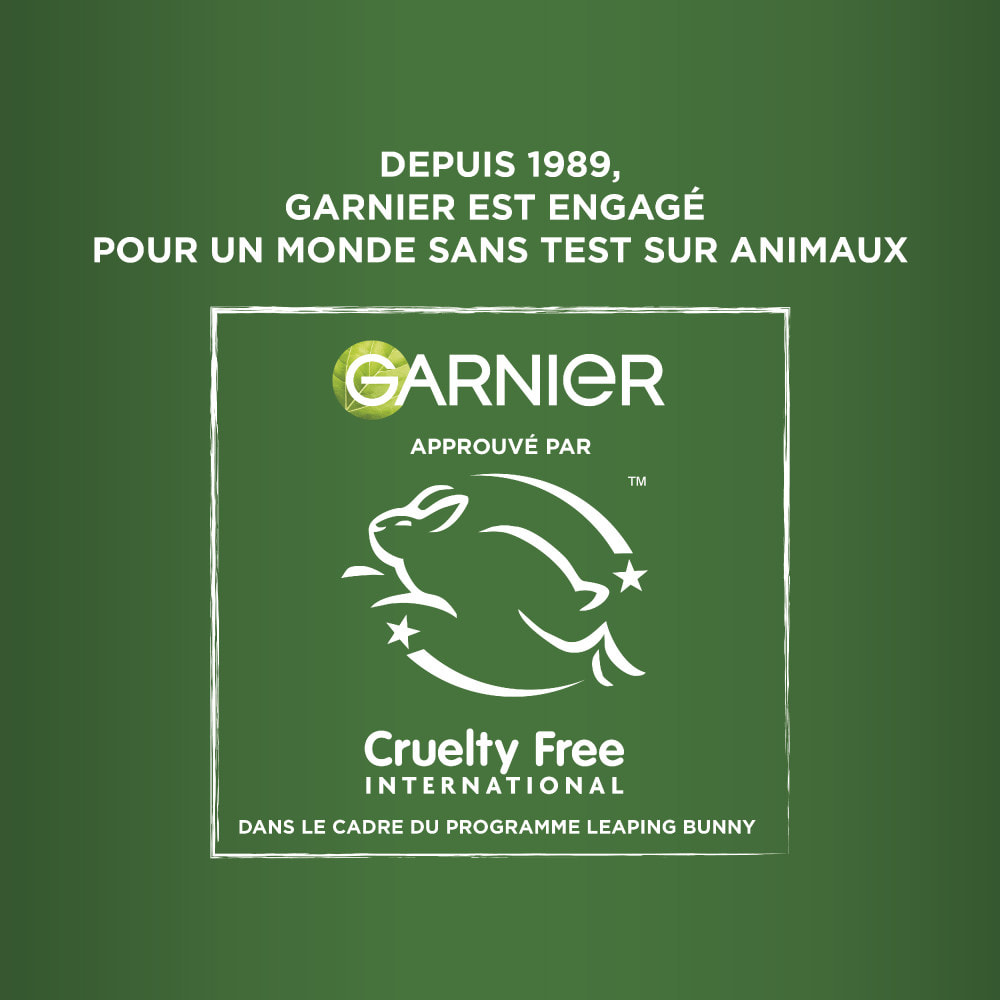 Garnier Fructis Coffret Hair Food Hydratant Aloe Vera (Shampooing 350ml, Démêlant 350ml, Masque 320ml)
