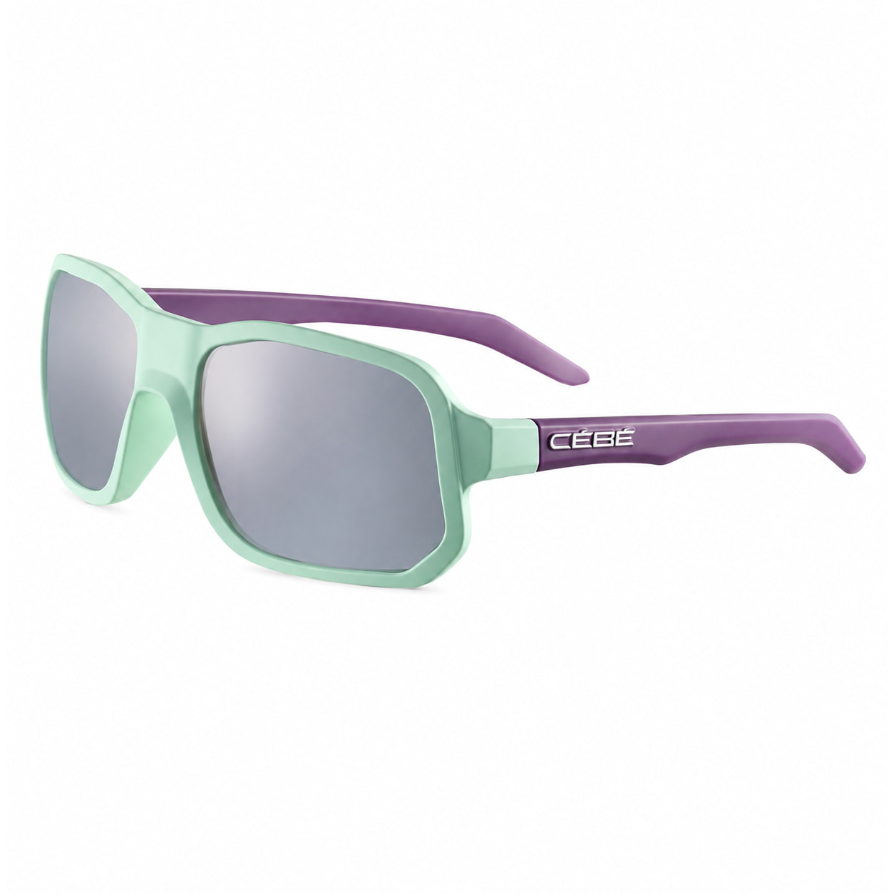 Gafas de sol Cebe Hombre CS32805-S