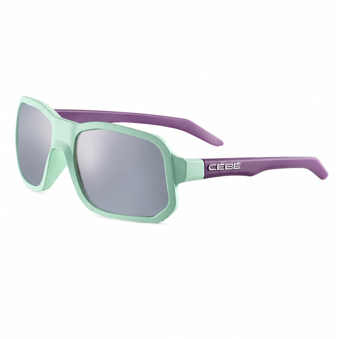 Gafas de sol Cebe Hombre CS32805-S