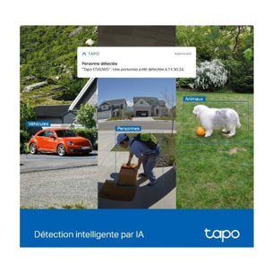 Caméra de surveillance TP-LINK outdoor Tapo C560WS