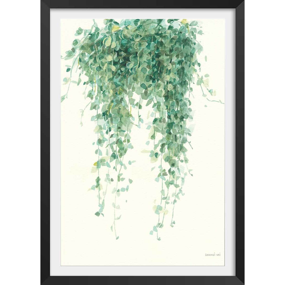 Affiche plante succulente illustrée Affiche + cadre en bois - Noir