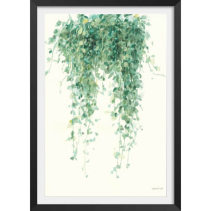 Affiche plante succulente illustrée Affiche + cadre en bois - Noir