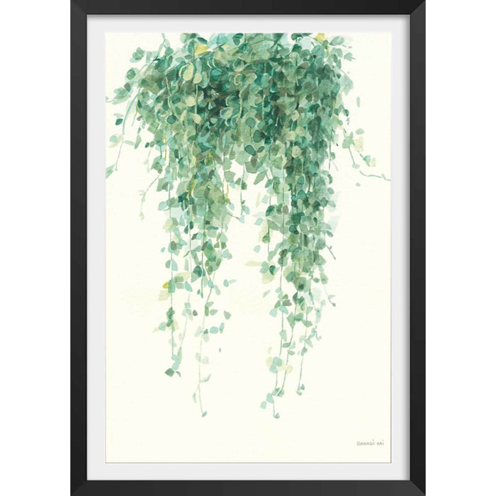 Affiche plante succulente illustrée Affiche + cadre en bois - Noir