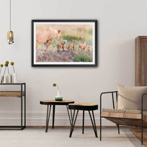 Affiche animaux let's go mom Affiche sous cadre noir