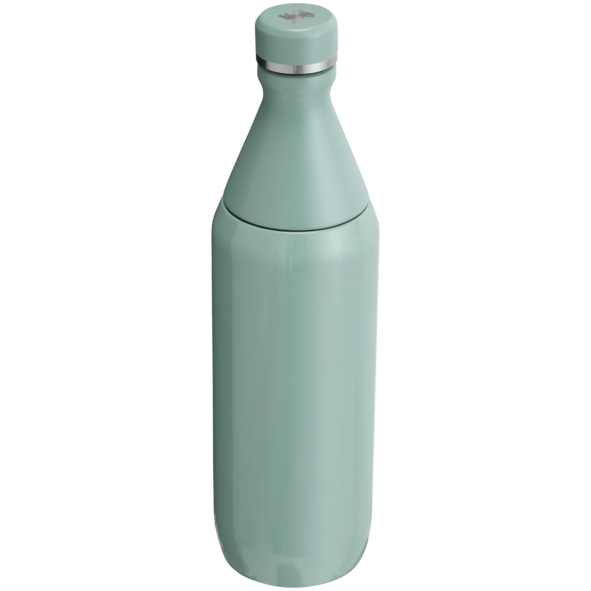 Botella de agua Isotermica - 0,59L - ALL DAY SLIM BOTTLE - Shale
