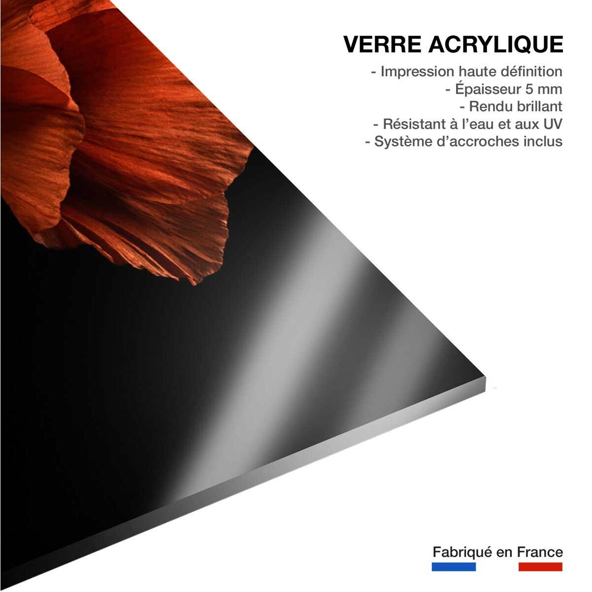 Tableau coquelicot enlacés  Tableau plexiglas