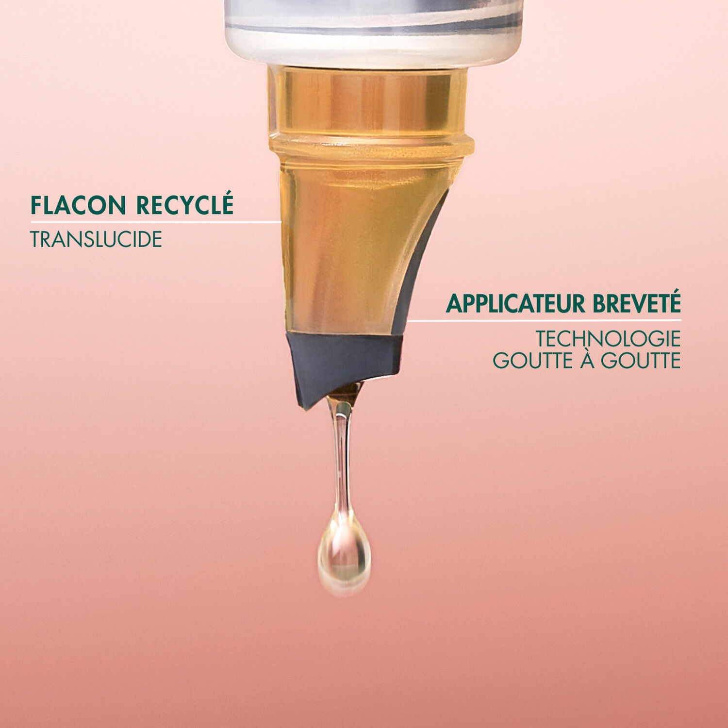 Huile de Rosier Muscat  - Hydratante & Revitalisante 50 ml