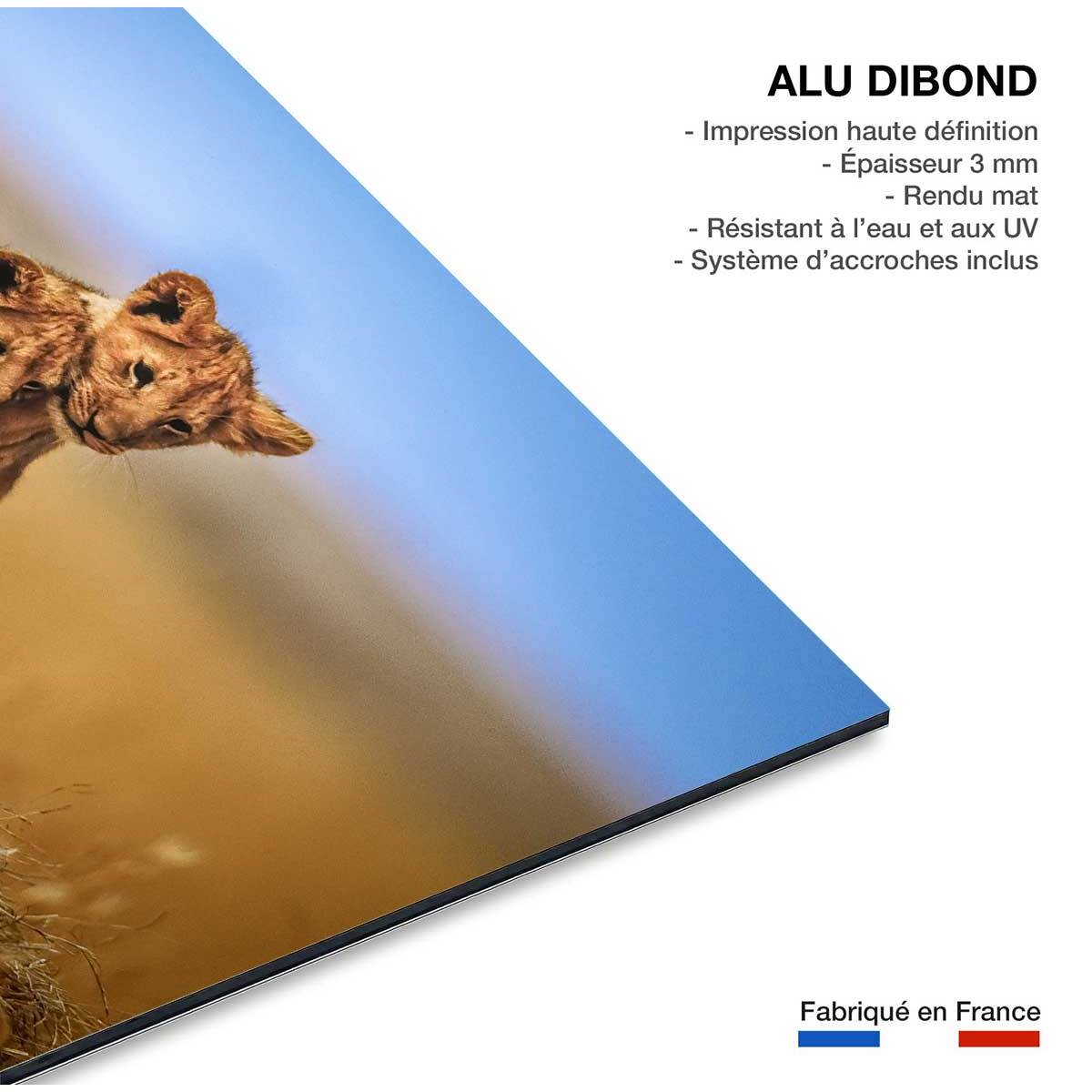 Tableau animaux brothers for the life Tableau alu Dibond