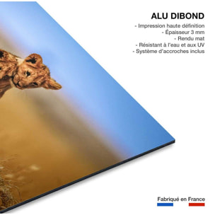 Tableau animaux brothers for the life Tableau alu Dibond