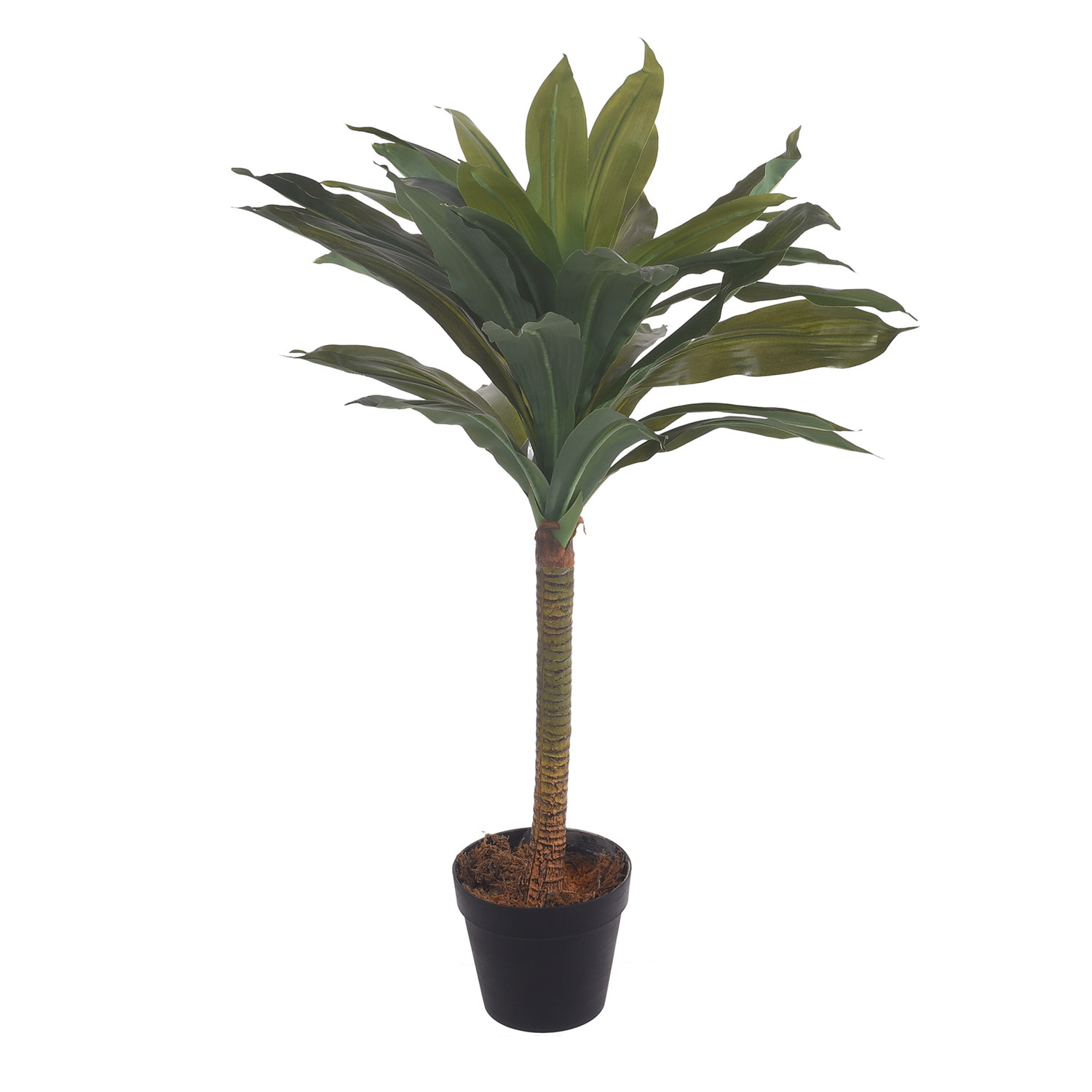 Dracaena In Vaso Con 30 Foglie. Altezza 75 Cm - Pezzi 1 - 45X75X45cm - Colore: Giallo - Bianchi Dino - Piante Artificiali