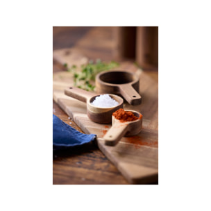 Jeu de cuillères doseuses