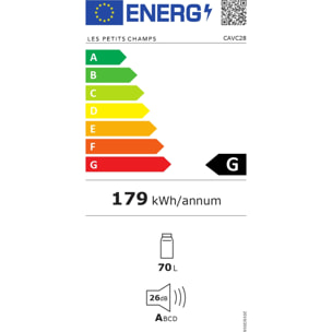 Les Petit Champs Bodega de Vino de Conservación de 28 botellas CAVC28, 70L, 6 estantes, Ajustable de 11 a 18°C, Refrigeración Termoeléctrica, Diseño Elegante, LED, Anti-UV