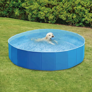 Intex 48400NP - Piscina Pieghevole per Cani Azzurra, 152x30 cm