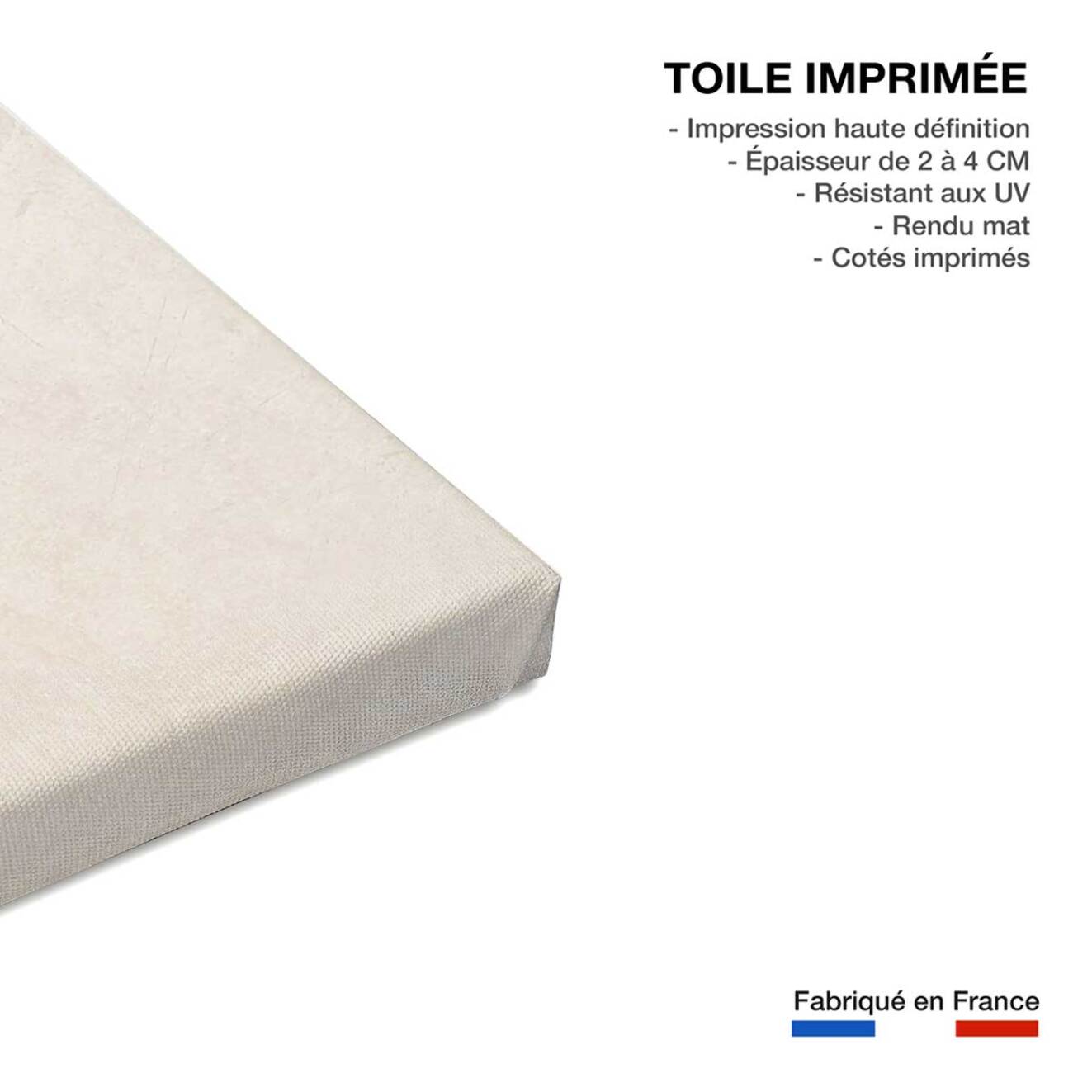 Tableau organique lévitation  Toile imprimée