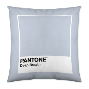 Pantone - Funda de Cojín Estampado - Con Cremallera - Sin relleno - 100% Algodón - Deep Breath