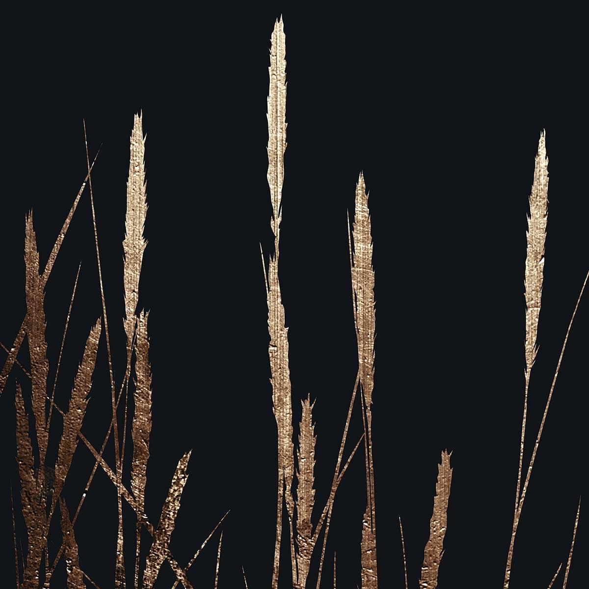 Poster blés dorés Affiche sous cadre noir