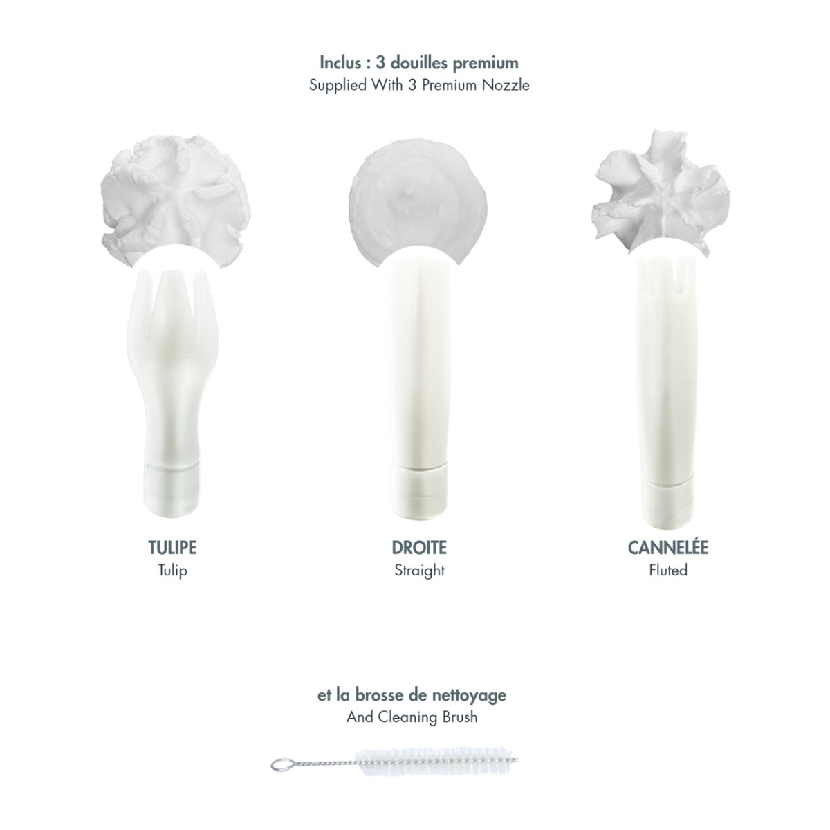 Siphon professionnel inox GOBEL - cuve inox - tête inox - 0.5L