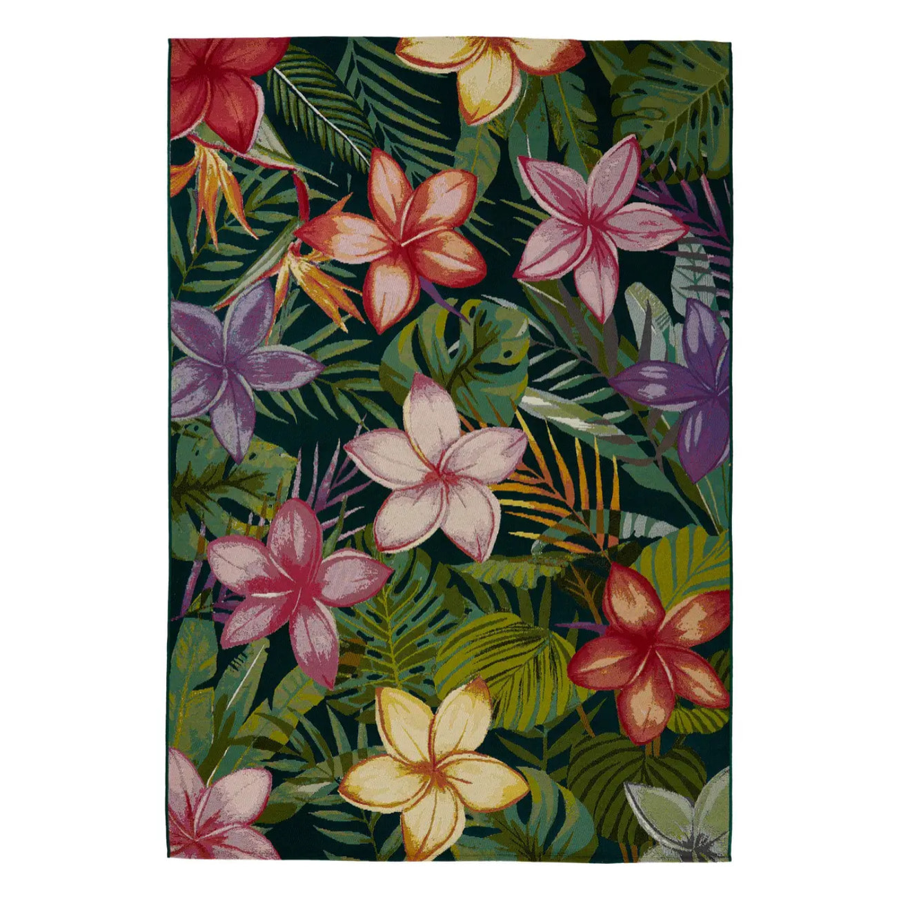 Tapis d'extérieur "Kepa" 100x150cm