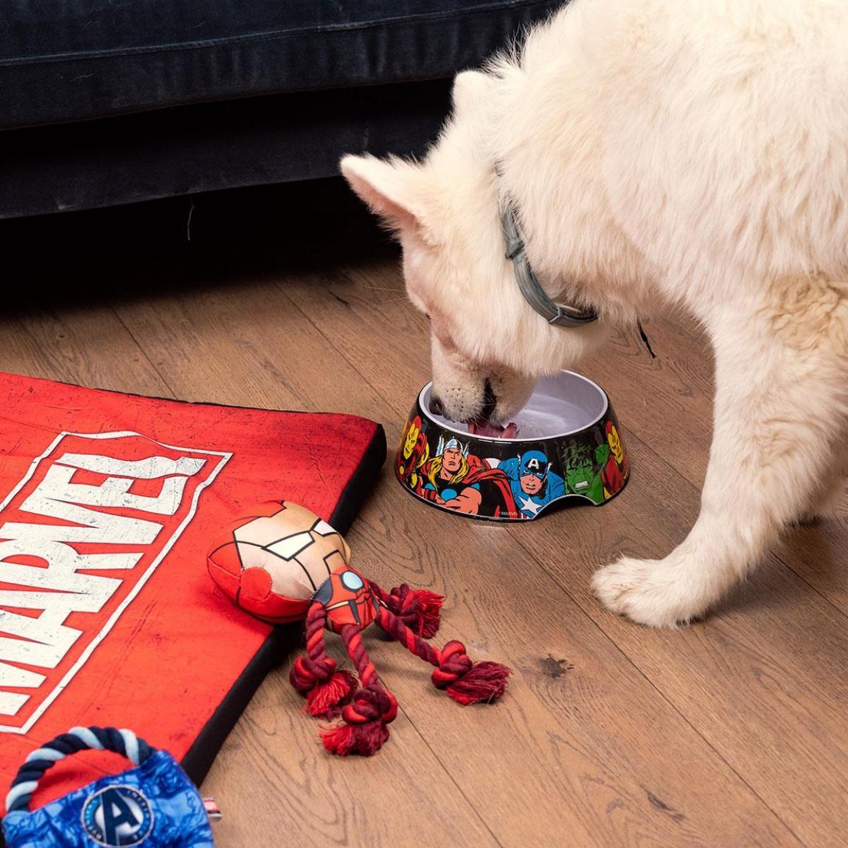 Marvel Avengers Ciotola per cane M 410 ml For Fun Pets Cerdà