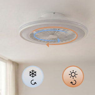 Ventilatore da soffitto con luce LED RGB, pale nascoste e telecomando Nexory InnovaGoods