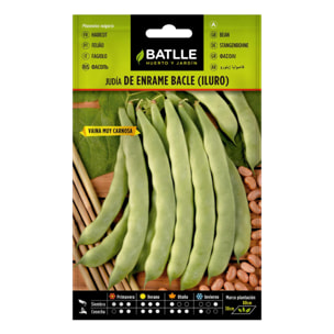 Semillas de Judía Iluro 100 g