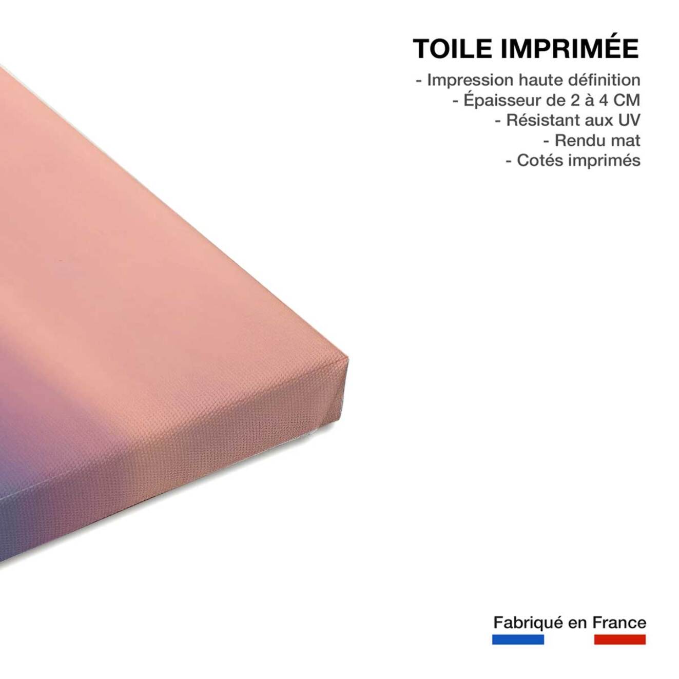 Tableau pays basque euskadi  Toile imprimée