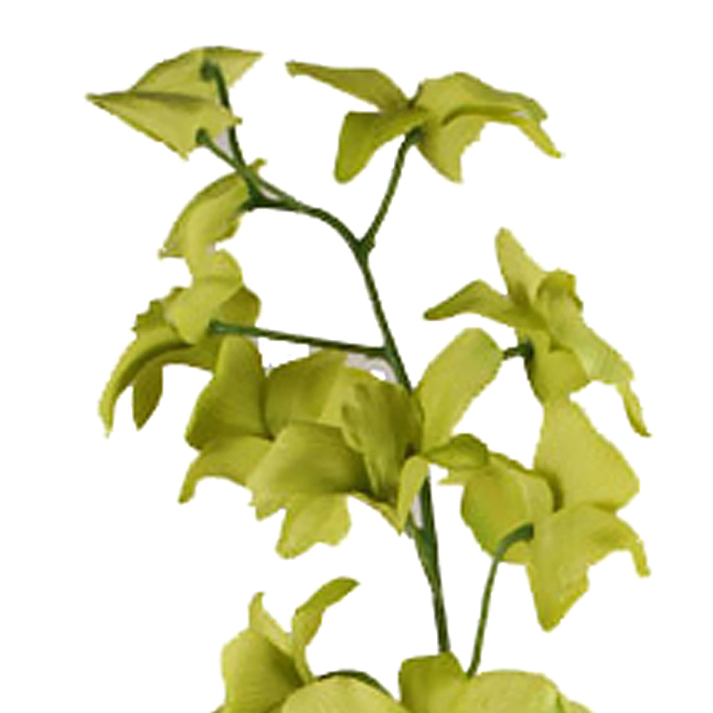 Dendrobium. Altezza 80 Cm - Pezzi 6 - 12X80X7cm - Colore: Verde - Bianchi Dino - Fiori Artificiali