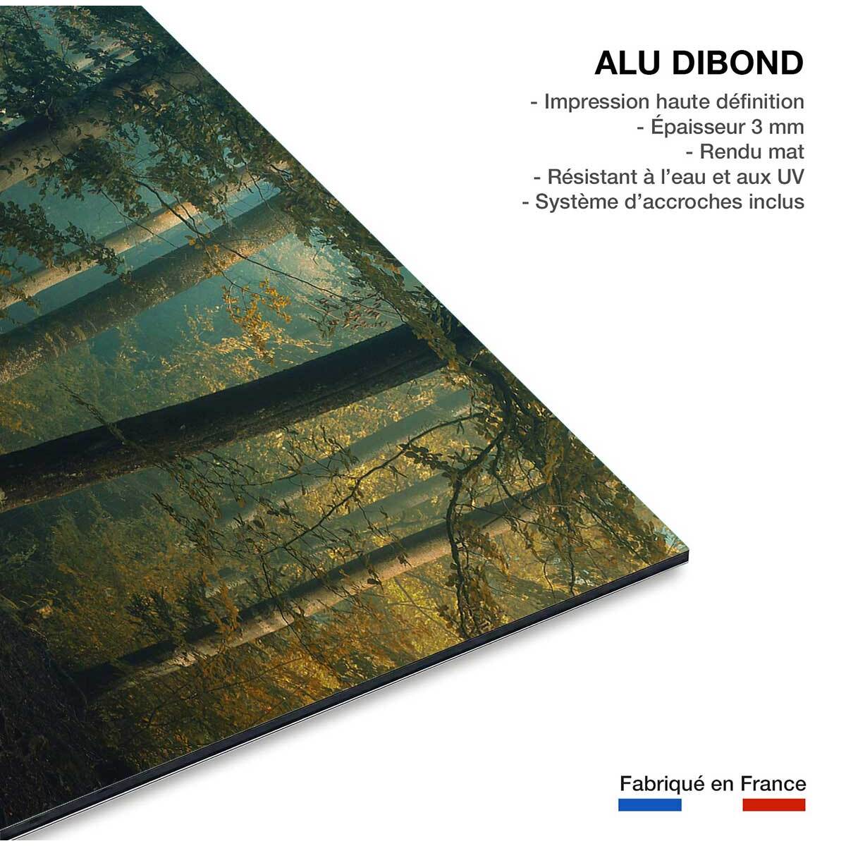 Tableau sous-bois en octobre Tableau alu Dibond