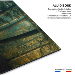 Tableau sous-bois en octobre Tableau alu Dibond