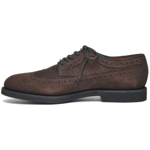 Sebago - Scarpe allacciate Uomo Marrone - Canton Suede