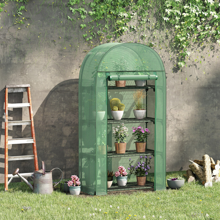 Invernadero de Jardín con 4 Estantes Metálicos Puerta Enrollable y Cubierta de PE Vivero Casero de Terraza para Cultivo Plantas Flores Macetas 80x49x160 cm Verde