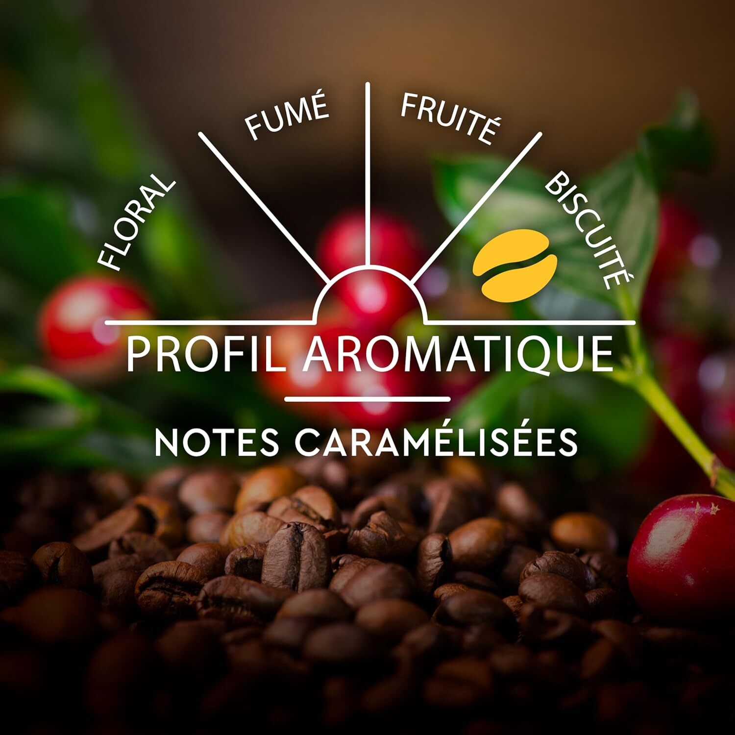 Espresso Lungo n°6 x30 - Capsules compatibles Nespresso en aluminium