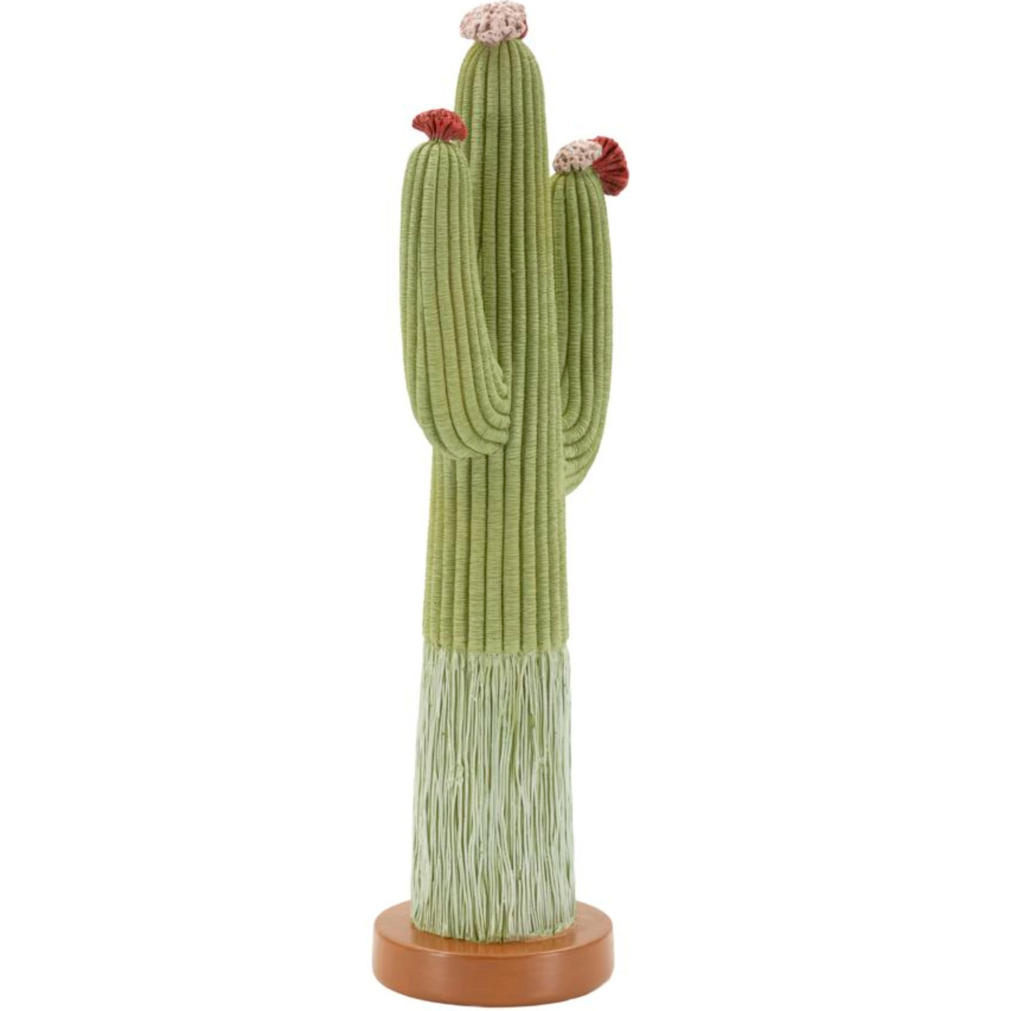 CACTUS CM 16,5X11X45