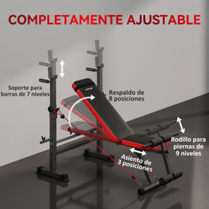 Banco de Musculación Multifuncional, Carga 300 kg, Banco de Pesas Inclinable con Soporte para Barras Ajustable, Asiento y Respaldo Regulable, para Entrenamiento Completo en Casa Gimnasio