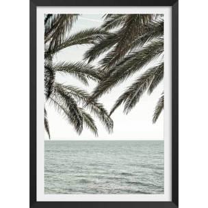 Poster plage tropicale secrète Affiche + cadre en bois - Noir